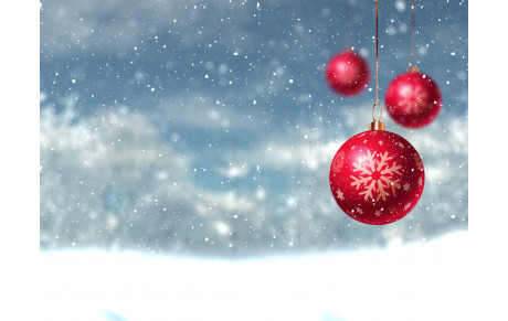 VACANCES DE NOËL 🌲